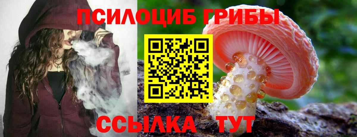 Псилоцибиновые грибы Psilocybine cubensis  Вход с VPN  Алатырь  Галлюциногенные грибы мицелий 