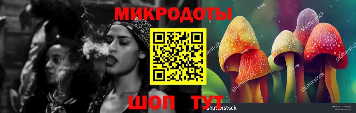 Галлюциногенные грибы Psilocybine cubensis Алатырь